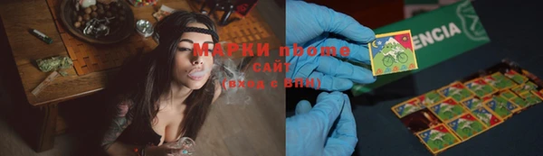 кокс Бородино